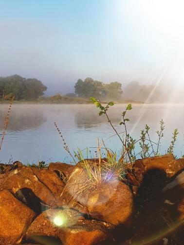 Ferienwohnung An Der Elbe Bleckede Exteriér fotografie